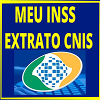 CNIS - Consulta, Extrato, INSS